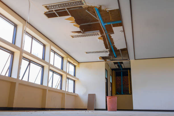 Best Water damage contractors near me  in Evansville, WY