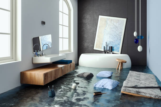 Best Mold removal after water damage  in Evansville, WY