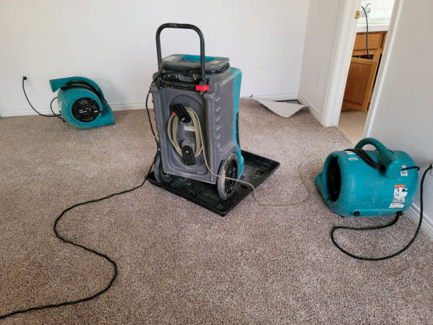 Water damage restoration process in WY