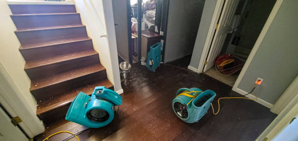Trusted WY Water damage restoration Experts