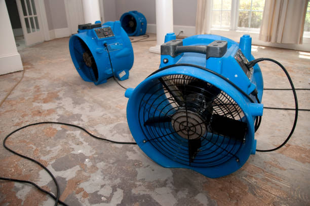 Reliable WY Water damage restoration Solutions