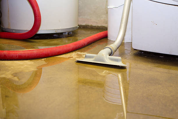 Best Ceiling water damage repair  in Evansville, WY