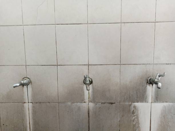 24/7 water damage repair in WY