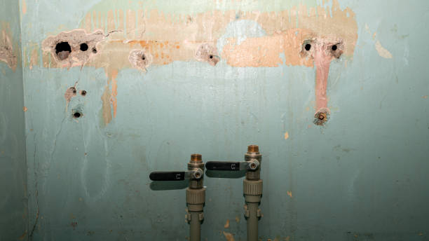 Best Flooded house restoration  in Evansville, WY