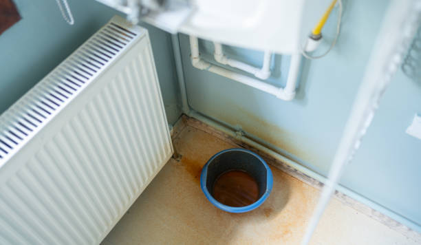 Best Carpet water damage restoration  in Evansville, WY