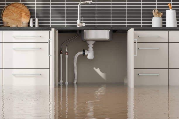 Water damage restoration mold remediation in WY
