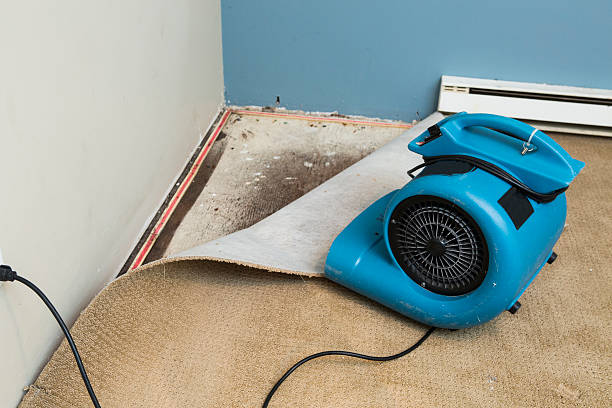 Best Commercial water damage restoration  in Evansville, WY